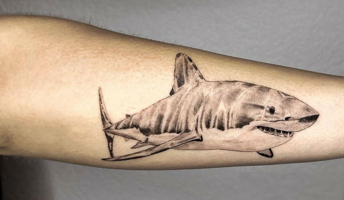 Tattoo hình cá mập giúp bộc lộ sự mạnh mẽ của phái mạnh