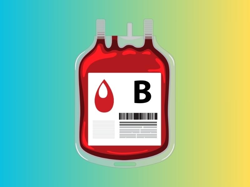 Người nhóm máu B tính cách thế nào, quan hệ xã hội ra sao?