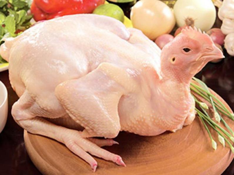 Thịt gà chọn loại có độ đàn hồi cao, thịt hồng, da vàng nhạt, mỏng